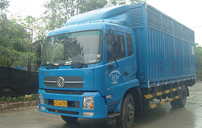 压缩气体和液化气体